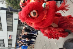 ckliondance3 (768x1024)