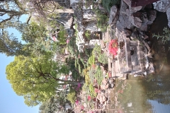 13Yuyuan garden